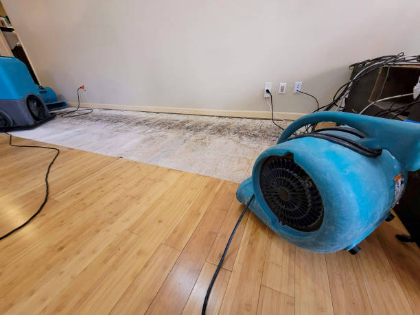 Professional Basement Flood Cleanup technician working in Maplewood, WA